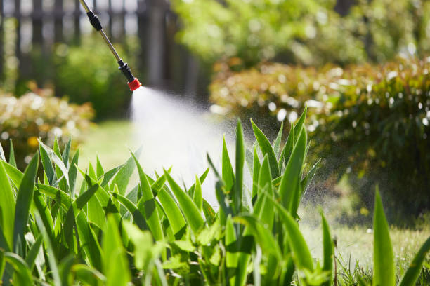 24/7 Emergency Cockroach Control experts in Stony Point, MI